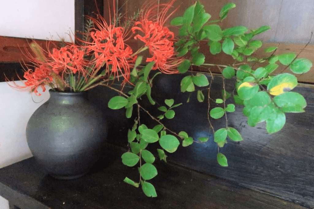 Spider Lily Floral Arrangement Ideas
